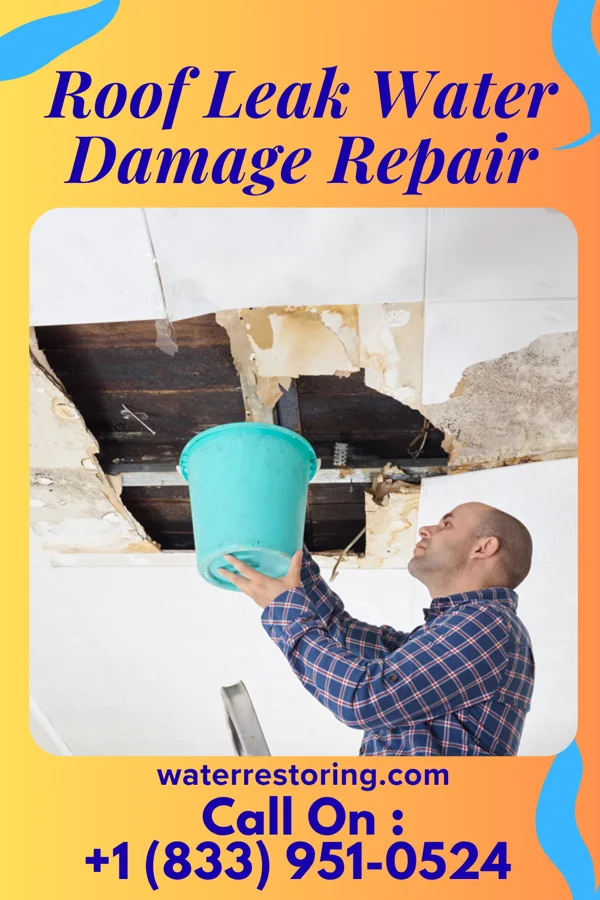 Roof Leak Water Damage Repair in Franklin, CA